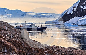 Antarctic cruise ship among icebergs and Gentoo penguins gathered on the rocky shore of Neco bay, Antarctica