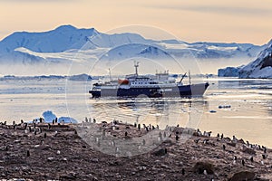 Antarctic cruise ship in the lagoon among icebergs and Gentoo pe