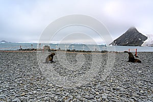 Cemetery of Base Naval Orcadas, Argentine Antarctic Research Station with Museum, Laurie Island, one of the South Orkney Islands photo