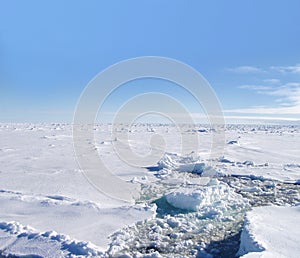 Antarctic Ice Fields