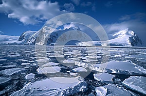 Antarctic ice floes