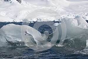 Antarctic iceberg with Shore covered with snow in the background