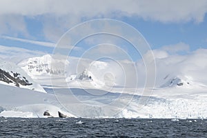 Antarctic icebergs pn a clear day with an amazing sky as background