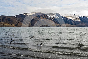 Antarctic mountainous landscape,