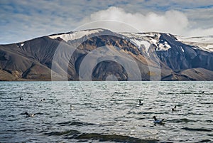 Antarctic mountainous landscape,