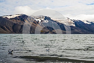 Antarctic mountainous landscape,