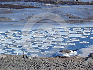 Antarctic Patterns pancake ice in McMurdo Sound