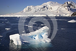 Antarctic Peninsula - Paradise Bay - Antarctica