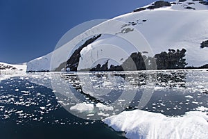 Antarctic reflections