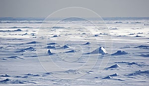 Antarctic snowfields