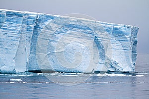 Antarctica - Antarctic Peninsula - Tabular Iceberg in Bransfield Strait