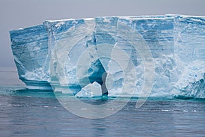 Antarctica - Antarctic Peninsula - Tabular Iceberg in Bransfield Strait