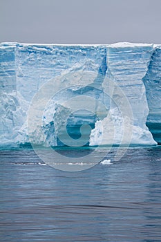 Antarctica - Antarctic Peninsula - Tabular Iceberg in Bransfield Strait