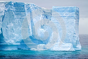 Antarctica - Antarctic Peninsula - Tabular Iceberg in Bransfield Strait