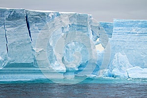 Antarctica - Antarctic Peninsula - Tabular Iceberg in Bransfield Strait