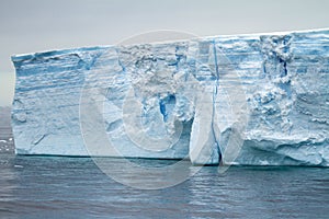 Antarctica - Antarctic Peninsula - Tabular Iceberg in Bransfield Strait