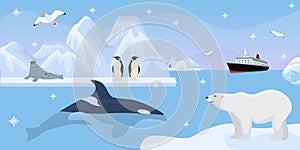 Antarctica beautiful wildlife, vector illustration. Cute penguins, seal on iceberg, whale in blue ocean water. Travel to