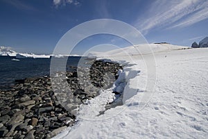 Antarctica, cuverville island