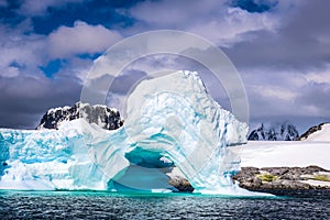 Antarctica ice and mammals in winter