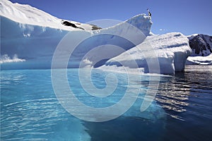 Antarctica - Iceberg in Cuverville Bay