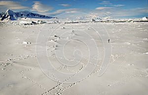 Antarctica, Landscape of Snow and Ice