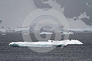 Antarctica - Non Tabular Iceberg - Global warming