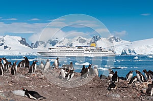 Antarctica penguins and cruise ship