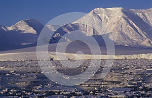 Antarctica shore