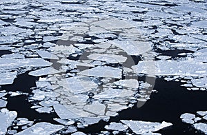 Antarctica Weddell Sea ice flow