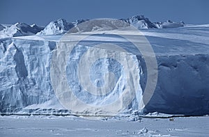 Antarctica Weddell Sea Riiser Larsen Ice Shelf Iceberg with Emperor Penguins photo