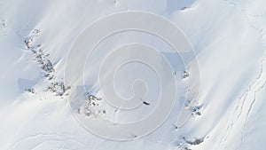 Antarctica weddell seal aerial landscape view