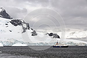 Antarctica Wildlife Expedition - Quark Expeditions Sea Spirit Cruise Ship