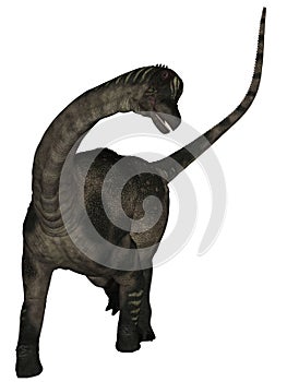 Antarctosaurus - 3D Dinosaur