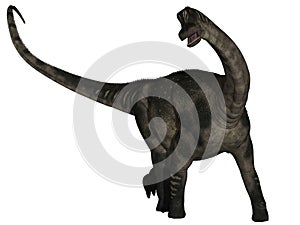 Antarctosaurus - 3D Dinosaur