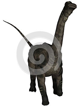 Antarctosaurus - 3D Dinosaur