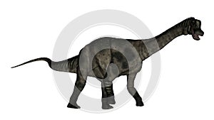 Antarctosaurus dinosaur - 3D render