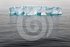 Antartica - Tabular Iceberg in Bransfield Strait