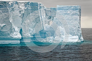 Antartica - Tabular Iceberg in Bransfield Strait