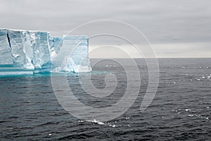 Antartica - Tabular Iceberg in Bransfield Strait