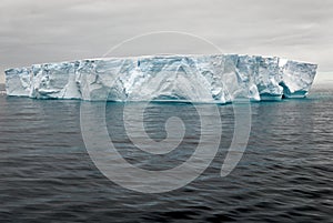 Antartica - Tabular Iceberg in Bransfield Strait