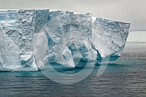 Antartica - Tabular Iceberg in Bransfield Strait