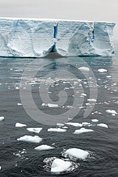 Antartica - Tabular Iceberg in Bransfield Strait