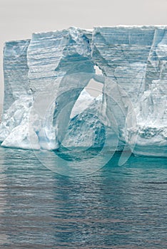 Antartica - Tabular Iceberg in Bransfield Strait