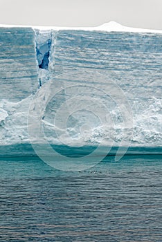 Antartica - Tabular Iceberg in Bransfield Strait