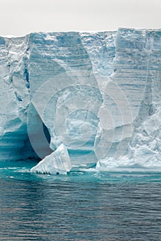 Antartica - Tabular Iceberg in Bransfield Strait