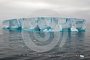 Antartica - Tabular Iceberg in Bransfield Strait