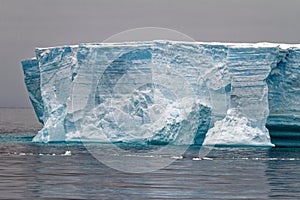 Antartica - Tabular Iceberg in Bransfield Strait