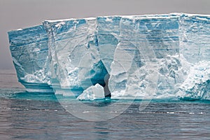 Antartica - Tabular Iceberg in Bransfield Strait