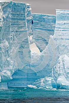 Antartica - Tabular Iceberg in Bransfield Strait