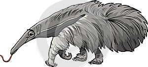 Anteater animal cartoon illustration